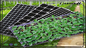 Sàn Bough Pot PS Khay cây con bằng nhựa màu đen PVC với mái vòm cho Microgreen