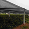 Thảm cỏ nhựa nhà kính rộng 6m 30gsm-300gsm Vải che bóng nông nghiệp