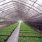 300gsm Có thể tái chế 98% Lưới che nắng cho vườn ươm Lưới che nắng cho vườn
