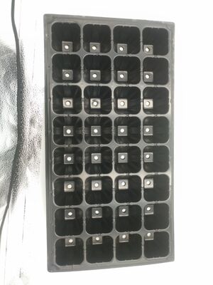 2mm dày 32-cell Plastic seedling tray cho cây rừng - chống lão hóa và bền
