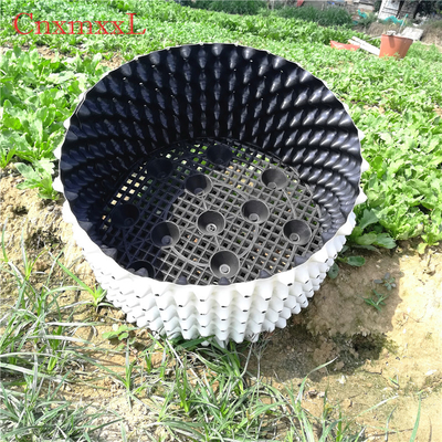 Sự phát triển của rễ Chậu nhựa HDPE màu trắng 0,9mm Màu trắng trong nhà kính Xô cắt tỉa không khí