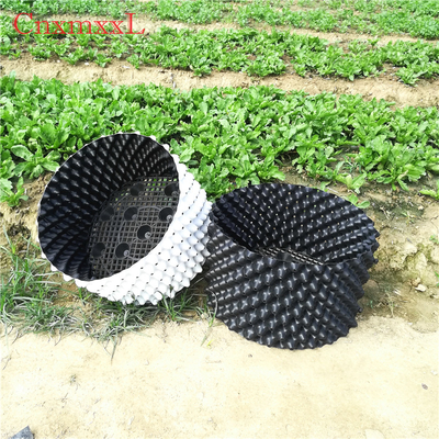 Sự phát triển của rễ Chậu nhựa HDPE màu trắng 0,9mm Màu trắng trong nhà kính Xô cắt tỉa không khí