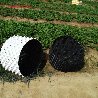 Sự phát triển của rễ Chậu nhựa HDPE màu trắng 0,9mm Màu trắng trong nhà kính Xô cắt tỉa không khí