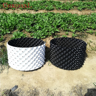 Sự phát triển của rễ Chậu nhựa HDPE màu trắng 0,9mm Màu trắng trong nhà kính Xô cắt tỉa không khí