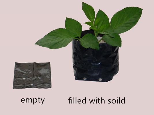 Hệ thống trồng thủy văn túi trồng nhựa mềm tạo ra hoa hoa peony túi nuôi