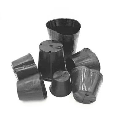Chrome bọc nhựa nấm nấm nấm nấm nấm nấm nấm nấm nấm nấm nấm nấm nấm nấm nấm nấm nấm nấm nấm nấm nấm nấm nấm nấm nấm nấm nấm nấm nấm nấm nấm nấm nấm nấm nấm nấm nấm nấm nấm nấm nấm nấm nấm nấm nấm nấm nấm nấm nấm nấm nấm nấm nấm nấm nấm nấm nấm nấm nấm nấm nấm nấm nấm nấm nấm nấm nấm nấm nấm nấm nấm nấm nấm nấm nấm nấm nấm nấm nấm nấm nấm nấm nấm