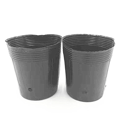 Chrome bọc nhựa nấm nấm nấm nấm nấm nấm nấm nấm nấm nấm nấm nấm nấm nấm nấm nấm nấm nấm nấm nấm nấm nấm nấm nấm nấm nấm nấm nấm nấm nấm nấm nấm nấm nấm nấm nấm nấm nấm nấm nấm nấm nấm nấm nấm nấm nấm nấm nấm nấm nấm nấm nấm nấm nấm nấm nấm nấm nấm nấm nấm nấm nấm nấm nấm nấm nấm nấm nấm nấm nấm nấm nấm nấm nấm nấm nấm nấm nấm nấm nấm nấm nấm nấm