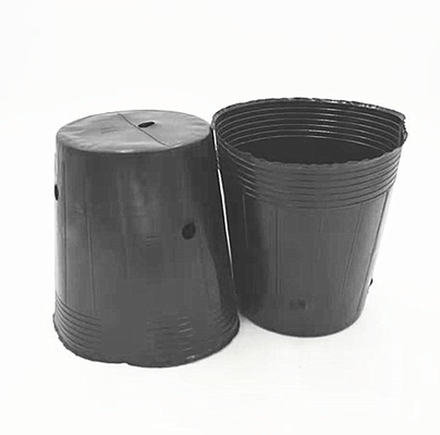 HDPE nhựa nồi nuôi hạt hành tây trồng nồi đen cho nhà kính