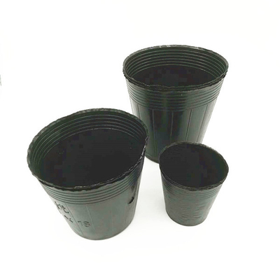 Kích thước tùy chỉnh Đen PVC PS nhựa mềm hoa dinh dưỡng nồi cho trồng