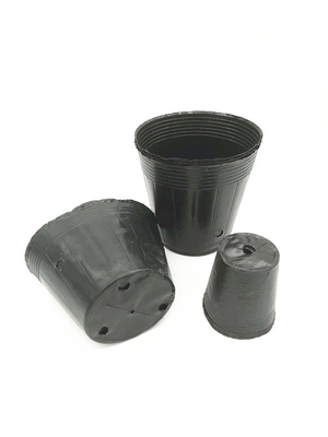 Kích thước tùy chỉnh Đen PVC PS nhựa mềm hoa dinh dưỡng nồi cho trồng