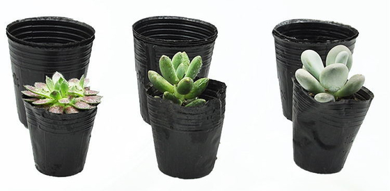 Hydroponic Soft Plastic Plant Pot Watercress Pot Trọng lượng nhẹ