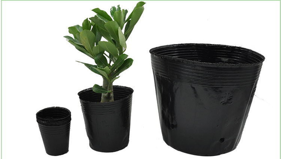 Hydroponic Soft Plastic Plant Pot Watercress Pot Trọng lượng nhẹ