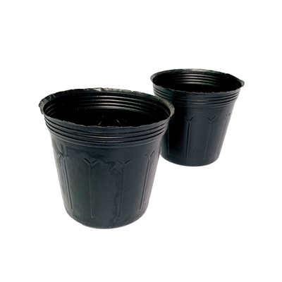Mùa đông PE Đen 3 Gallon cây nồi 23cm chiều cao sâu nồi mẫu giáo