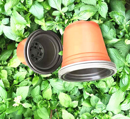 Chậu hoa màu đôi dùng một lần cho nhà kính và vườn