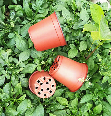 Chậu hoa màu đôi dùng một lần cho nhà kính và vườn