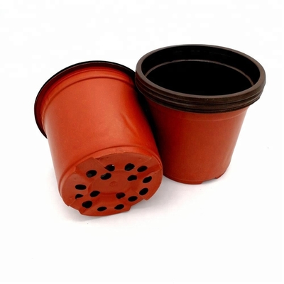 PP Mặt trời 15cm chiều rộng bình hoa nhựa 12 lỗ thoát nước
