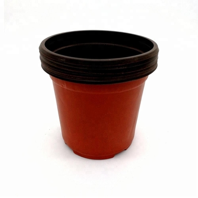 PP Mặt trời 15cm chiều rộng bình hoa nhựa 12 lỗ thoát nước