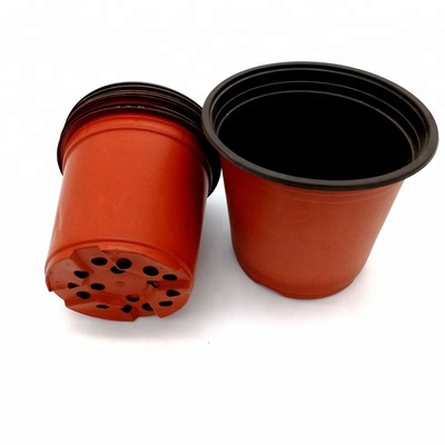 PP Mặt trời 15cm chiều rộng bình hoa nhựa 12 lỗ thoát nước
