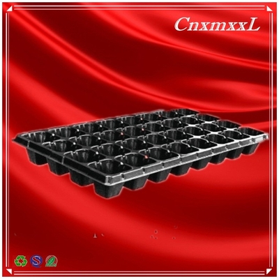 72 50 Cây trồng cỏ nhựa Cây trồng cỏ hoa