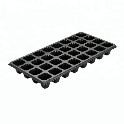 HDPE UV ổn định nhựa nấm nấm nấm