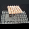 15 gói Khay đựng trứng bằng nhựa PET trong suốt dùng một lần Giá đỡ khay đựng trứng vuông 71mm