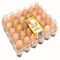 9 chiếc Giá đỡ trứng bằng nhựa có thể xếp chồng lên nhau Khay đặt trứng vuông 152mm