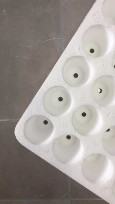 160 chậu cây giống chậu cây giống eps200 chậu cây giống chậu cây giống epschậu cây giống EPSchậu trẻ chăn nuôi