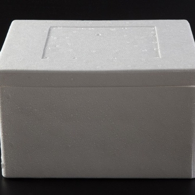 EPP ủ ủ EPS ủ ủ vận chuyển thực phẩm tươi lạnh