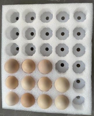 EPE Tray trứng Sản phẩm mong manh Pearl Cotton Bao bì bảo vệ Custom