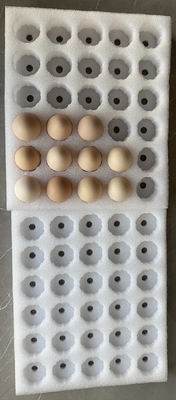 EPE Tray trứng Sản phẩm mong manh Pearl Cotton Bao bì bảo vệ Custom
