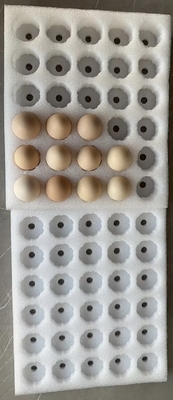 Chất chống sốc EPS nhẹ EPP Bảo vệ bao bì Sản phẩm mong manh Pearl Cotton Bảo vệ bao bì tùy chỉnh