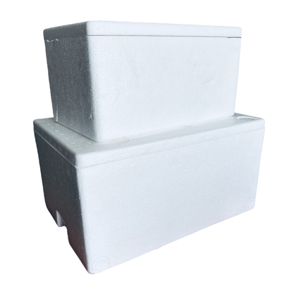 EPS ủ dây chuyền lạnh vận chuyển hộp bọt tùy chỉnh