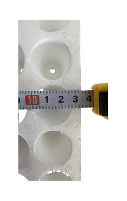 160 lỗ tròn lỗ bọt nồi EPS nồi trồng nồi tùy chỉnh
