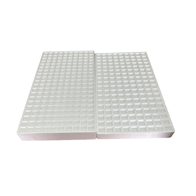 Cây trồng rau (như cà chua và ớt), hoa, thảo mộc và các loại cây trồng khác trong khay trồng hạt bọt