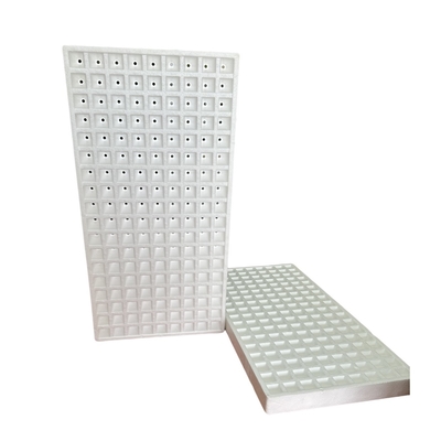 Cây trồng rau (như cà chua và ớt), hoa, thảo mộc và các loại cây trồng khác trong khay trồng hạt bọt