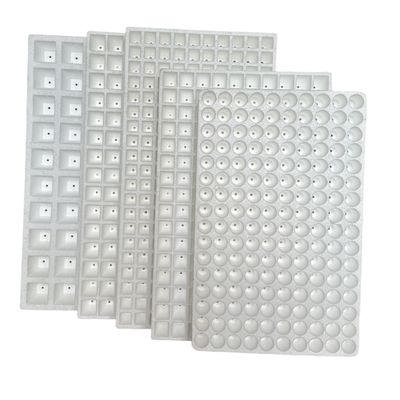 Khay cấy nổi tròn 160 ô