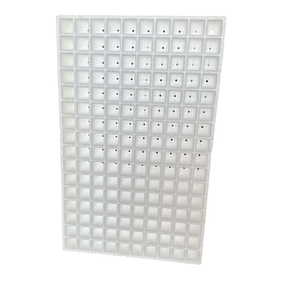 EPS Foam Seedling Tray tùy chỉnh cho trồng dưa hấu rau và trái cây