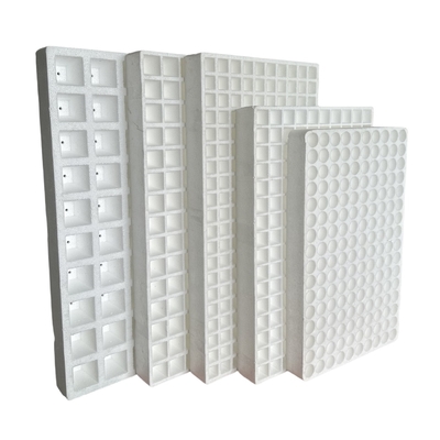 EPS Foam Seedling Tray tùy chỉnh cho trồng dưa hấu rau và trái cây