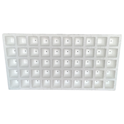 EPS Foam Seedling Tray tùy chỉnh cho trồng dưa hấu rau và trái cây