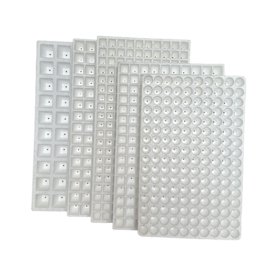 EPS Foam Seedling Tray tùy chỉnh cho trồng dưa hấu rau và trái cây