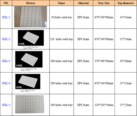 EPS Foam Seedling Tray tùy chỉnh 50 điểm 120 điểm 160 điểm 200 điểm
