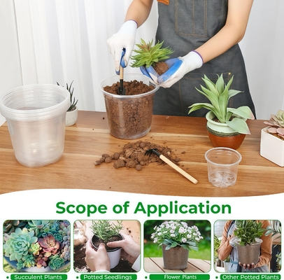 Chậu hoa lanh trong suốt với lớp phủ chống tia cực tím