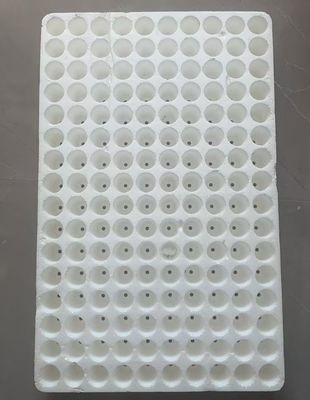 Khay cấy nổi tròn 160 ô