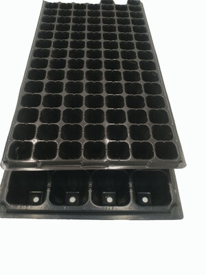 2mm dày 32-cell Plastic seedling tray cho cây rừng - chống lão hóa và bền