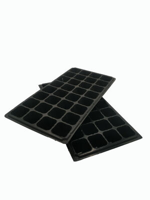 2mm dày 32-cell Plastic seedling tray cho cây rừng - chống lão hóa và bền