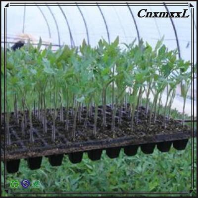 2mm dày 32 50 98 108 118 200 tế bào đĩa trồng cây nhựa cho cây rừng - chống lão hóa và bền