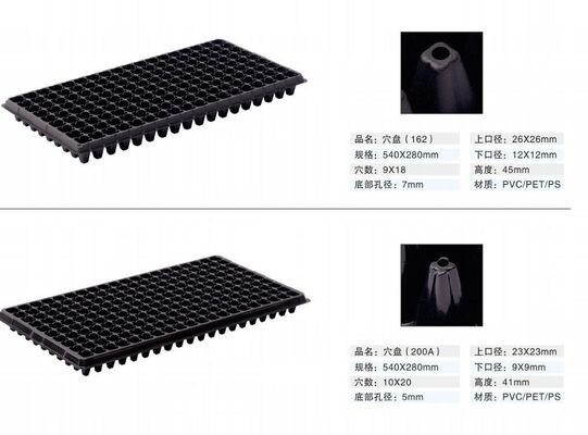 Thang trồng cây bằng nhựa 200 tế bào - 2mm dày và chống lão hóa cho sự phát triển của thực vật lâu dài