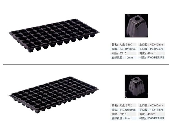 200-cell Plastic Seedling Tray with 2mm Thick Aging Resistant Design for Durable Plant Growth