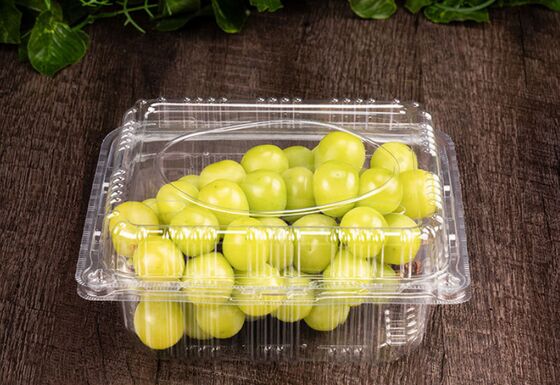 Hộp đóng gói trái cây PET tái chế được thiết kế tùy chỉnh với niêm phong nhiệt cho cà chua và nho