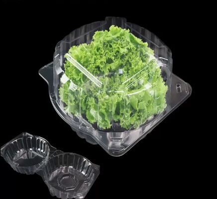 Customized Design Recyclable PET Packaging Box with Heat Sealing for Fresh Vegetables and Fruits